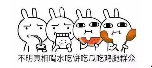吃瓜群众英文缩写是什么,Eating Watermelon Spectators: A Glimpse into the World of the Curious Onlookers